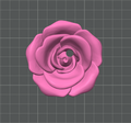 Rose - 8mm