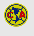 Cooler Logo America